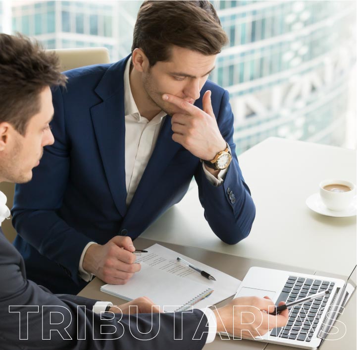 tributarias-adminservice_web